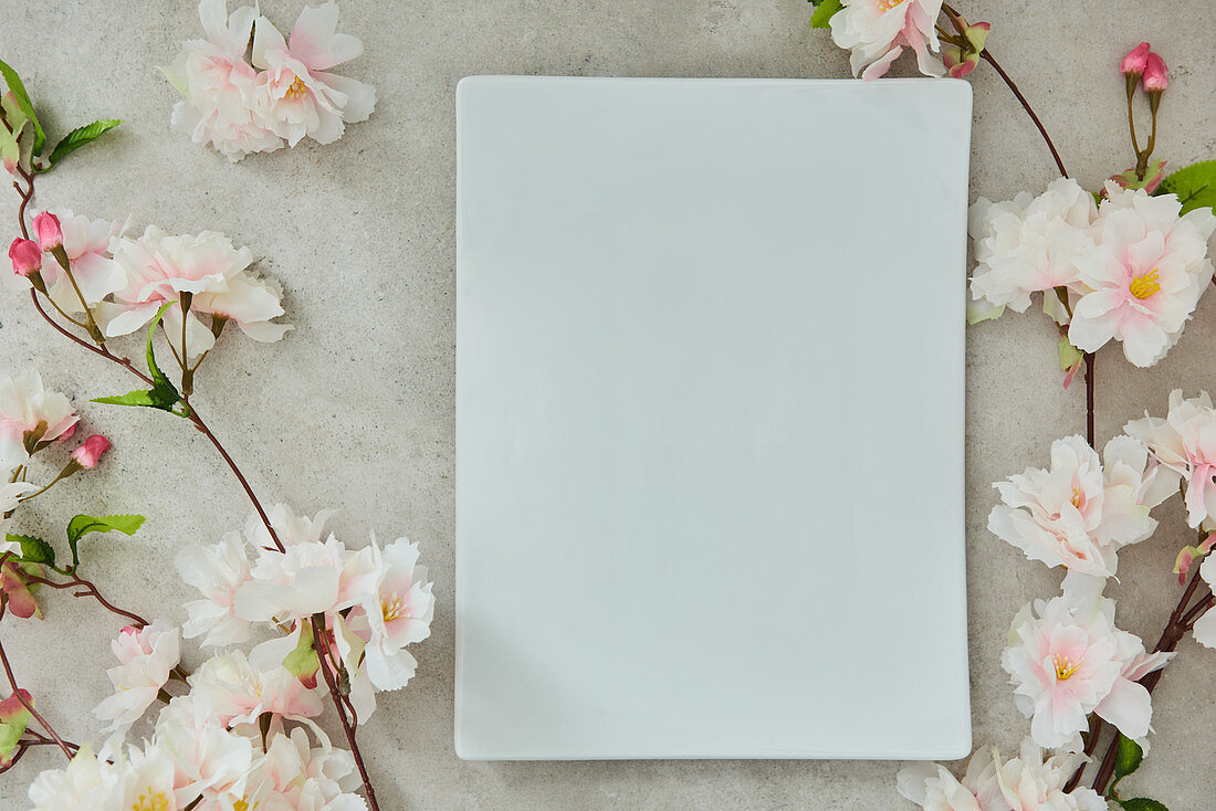 Kirschblüten und weiße Porzellanplatte