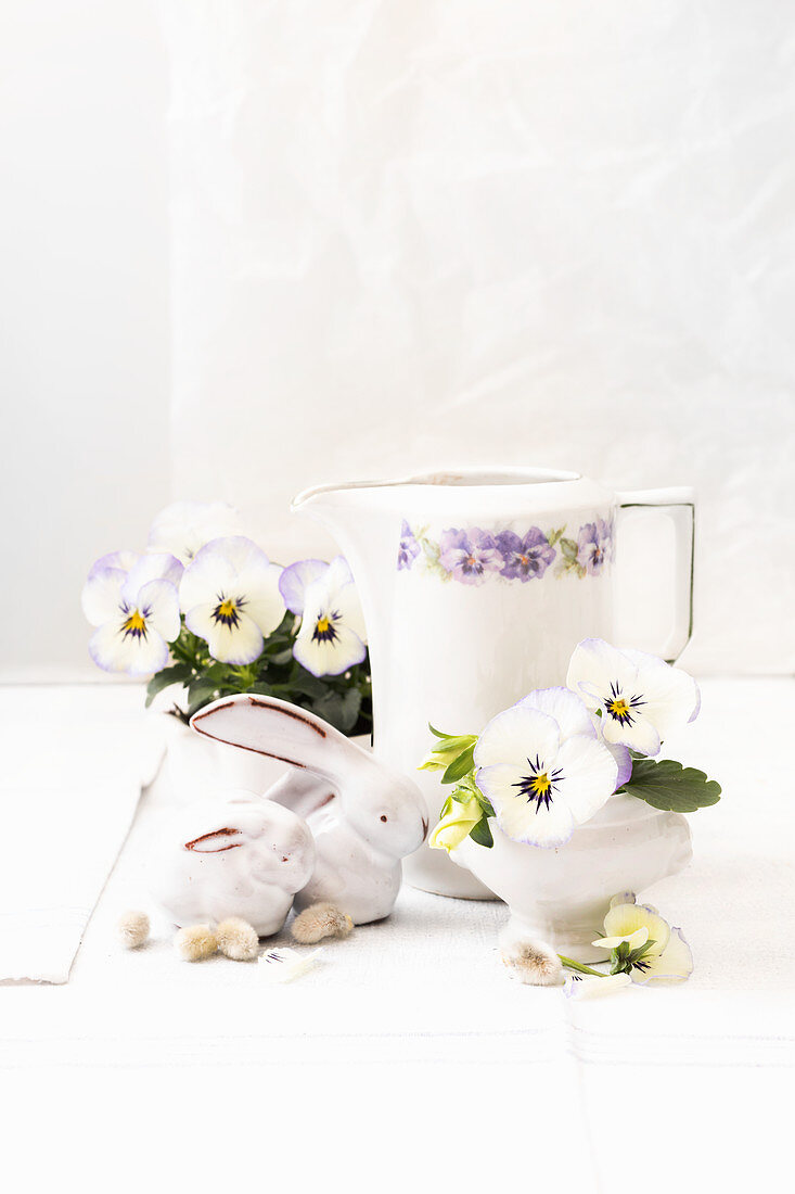 White violas and Easter bunnies