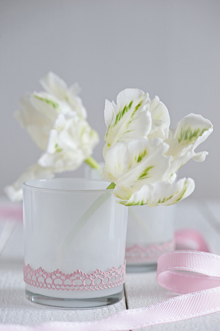 White parrot tulips in glass