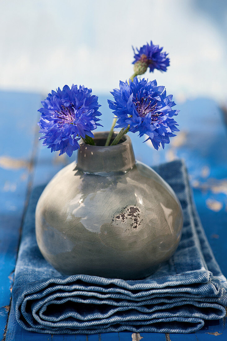 Kornblumen in kugeliger Vase