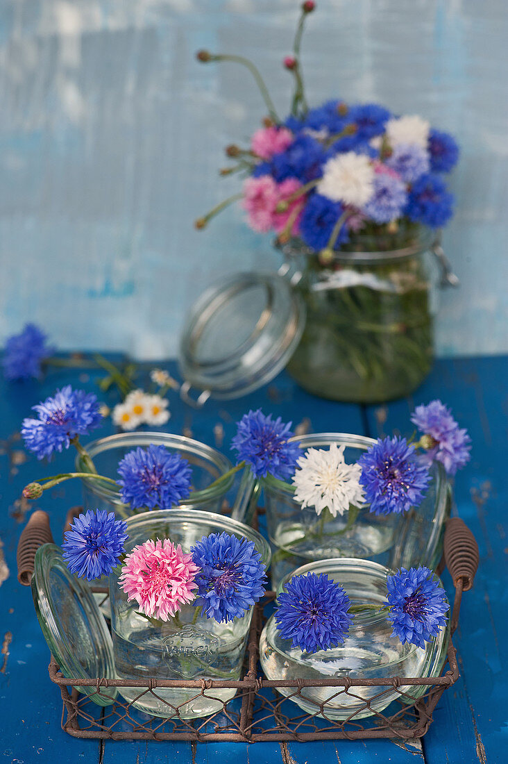 Blue, white, and pink cornflowers in mason jars
