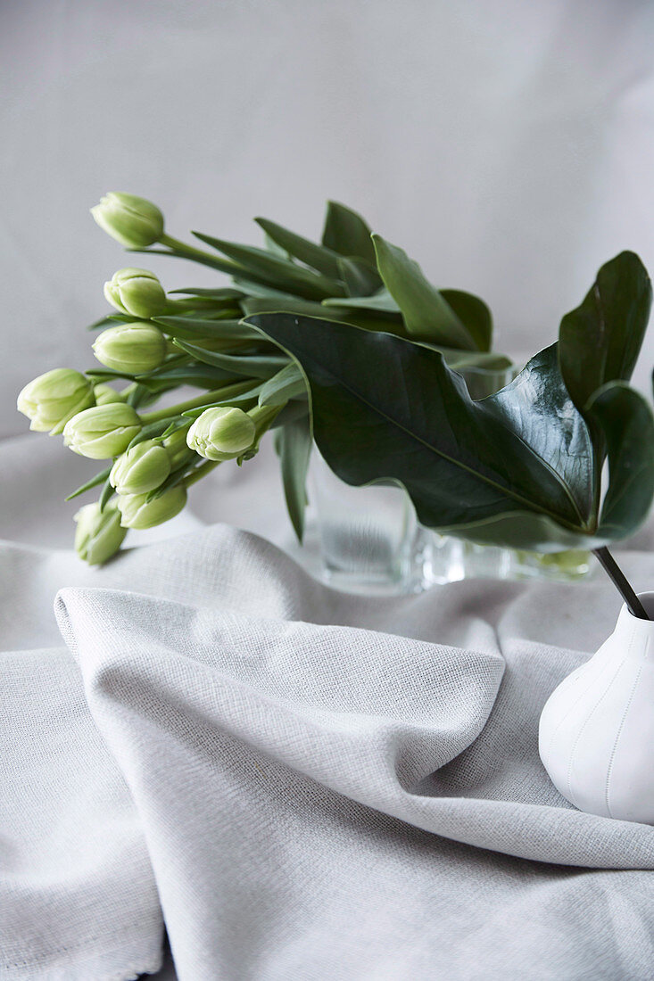 Weiße Tulpen und grüne Blätter in Vasen