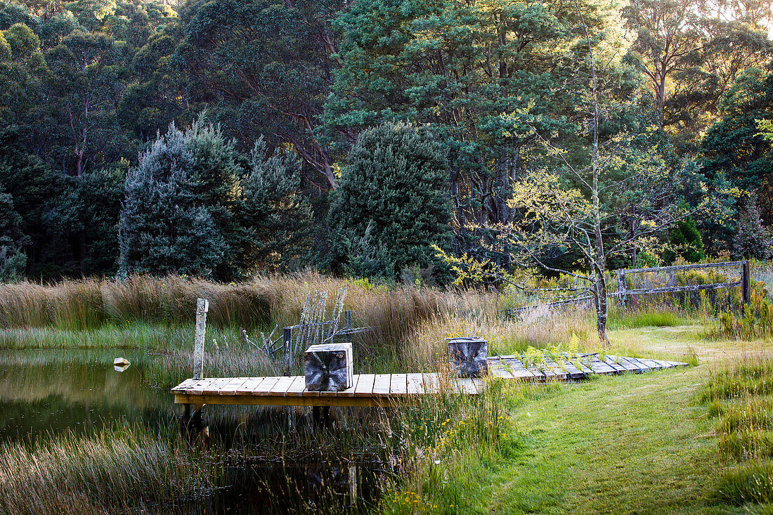 Footbridge to the lake between meadows and forest in summer