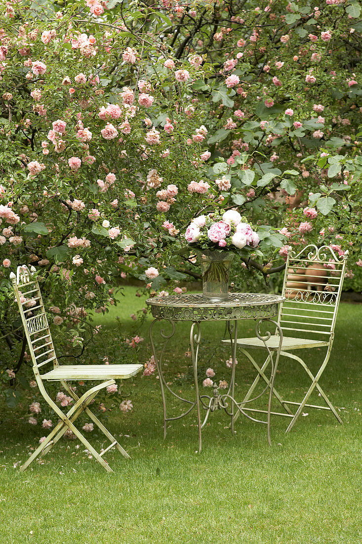 Vintage-style table and chairs in garden next to shrub rose with vase of peonies on table