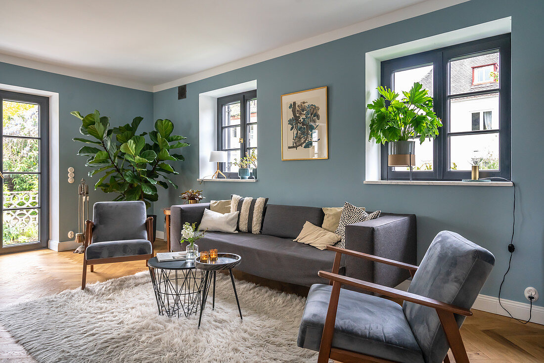 Graue Polstermöbel, Couchtisch und Zimmerpflanzen im Wohnzimmer mit blauer Wand