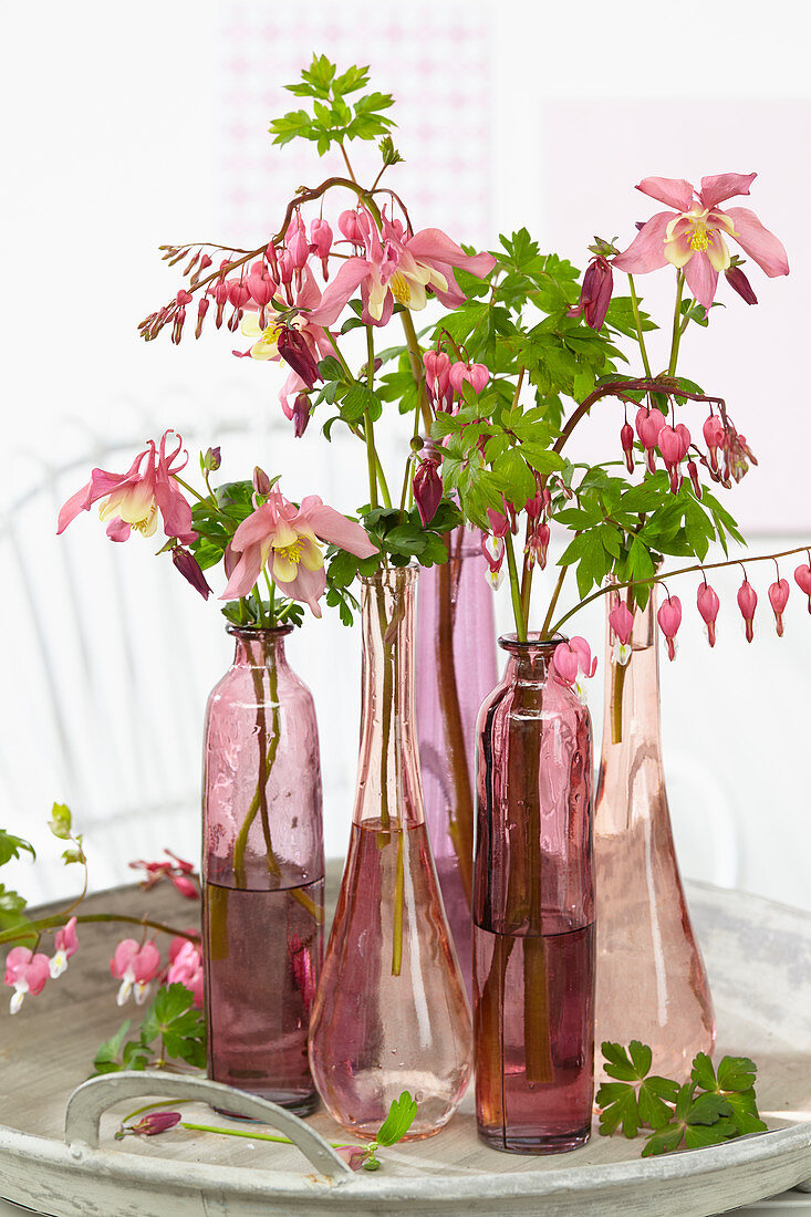 Perennial flowers on vase