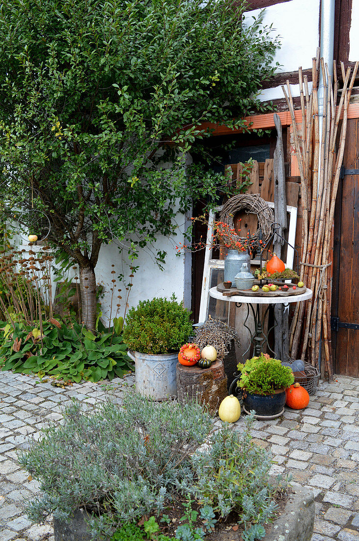 Herbstdeko im Innenhof mit Kürbis, Hagebutten, Hopfenranke und Kastanien