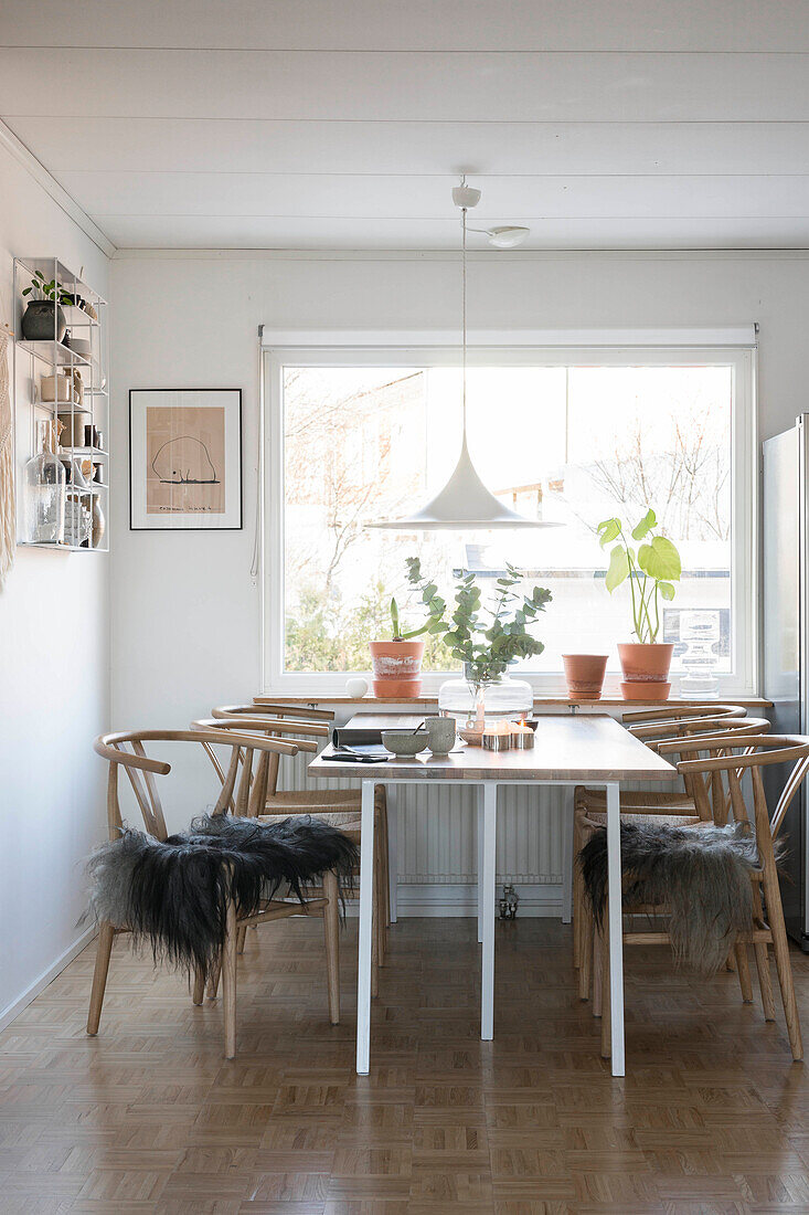 Designerstühle mit Fellen am Esstisch vorm Fenster