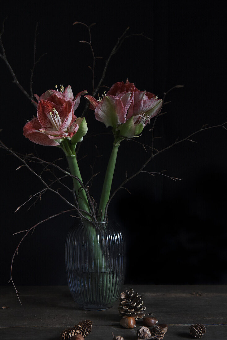 Bouquet of amaryllis and twigs