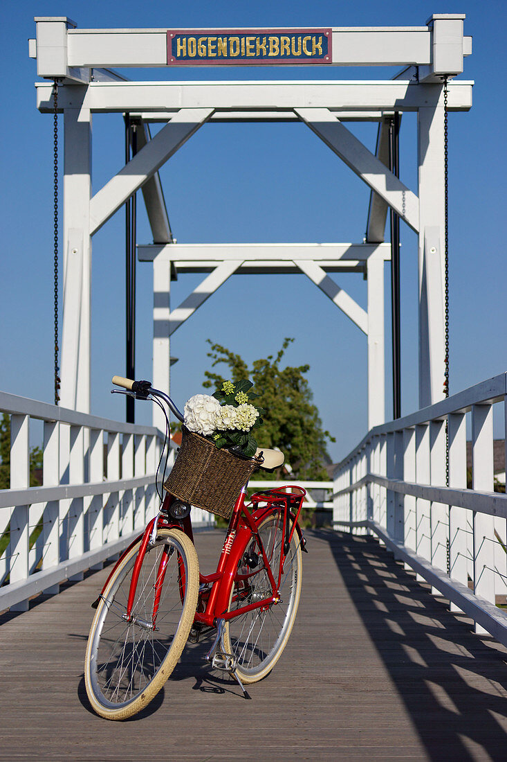 Rotes Fahrrad auf Brücke, Hortensie im Fahrradkorb