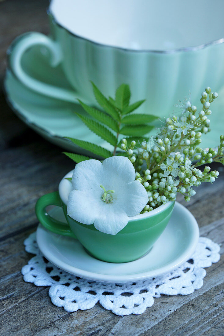 Balloon flower and false spiraea flowers in green espresso cup