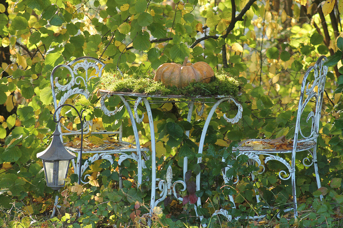 Sitzplatz mit Muskatkürbis und Moos in herbstlichem Garten