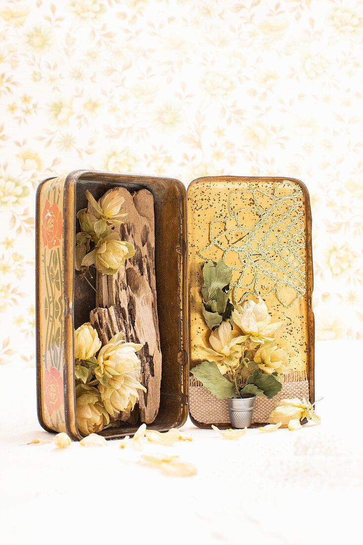 Old tin decorated with driftwood, hop flowers and lace doily