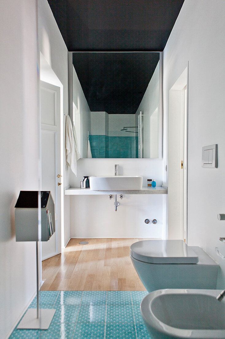 Narrow modern bathroom with black ceiling