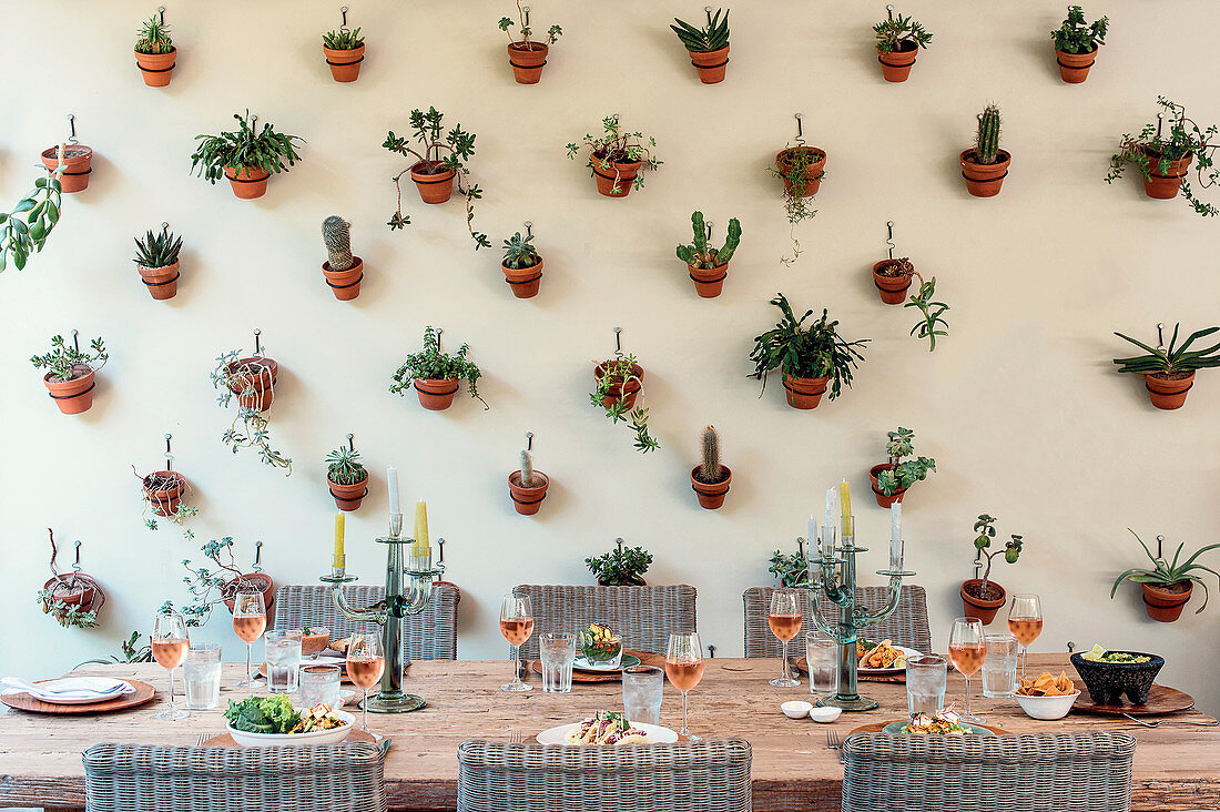 Gedeckter Esstisch vor vertikal begrünter Zimmerwand mit Pflanzen in Hängetöpfen