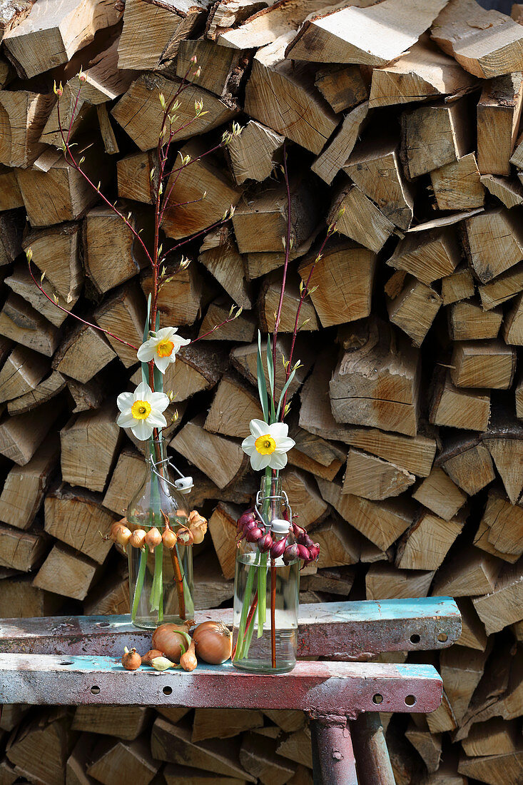 Flowering narcissus in bottles of water with wreaths of onions in front of stacked firewood