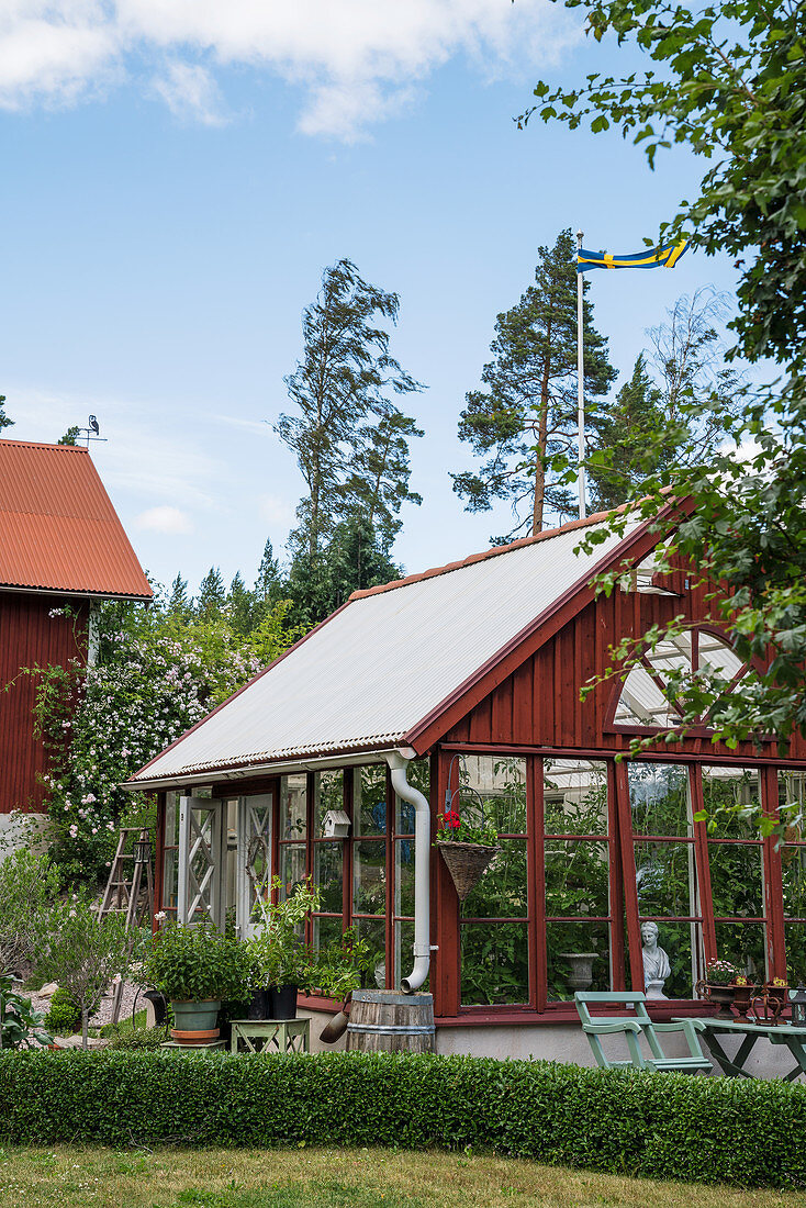 Falu-red greenhouse in summery garden