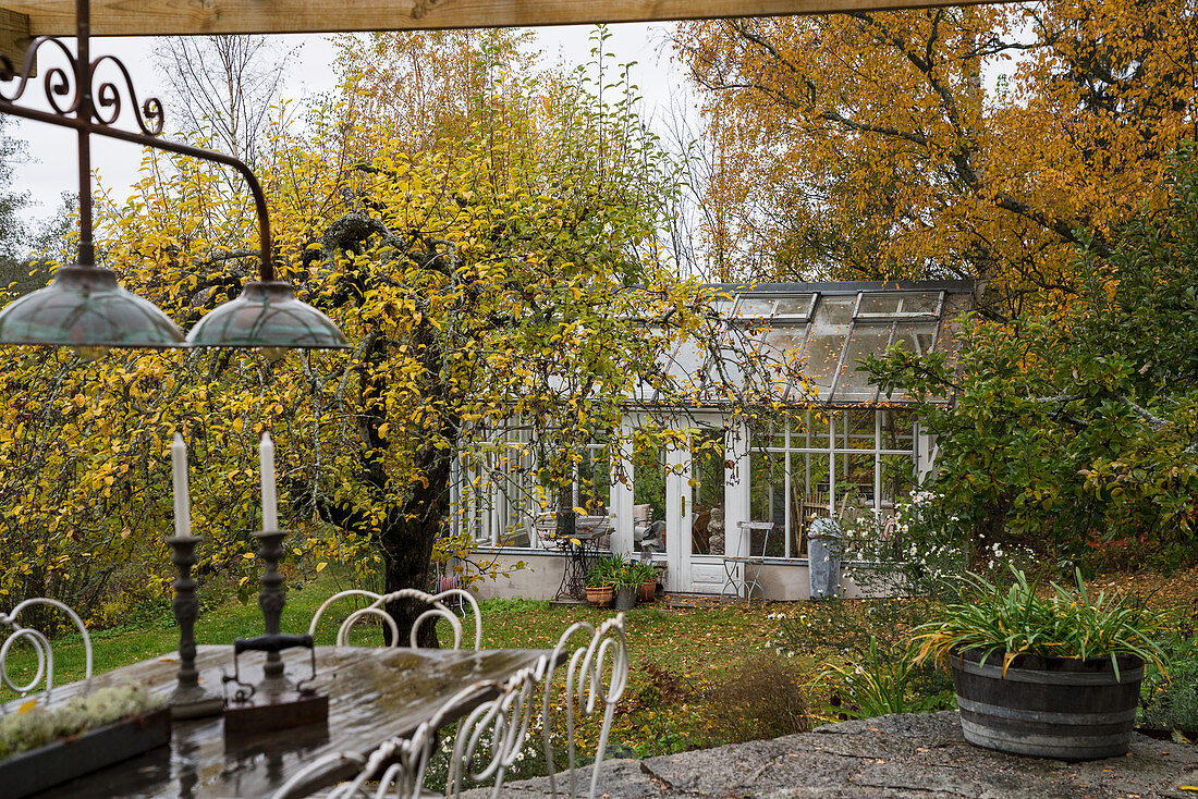 Blick von der Terrasse in den herbstlichen Garten mit Glashaus