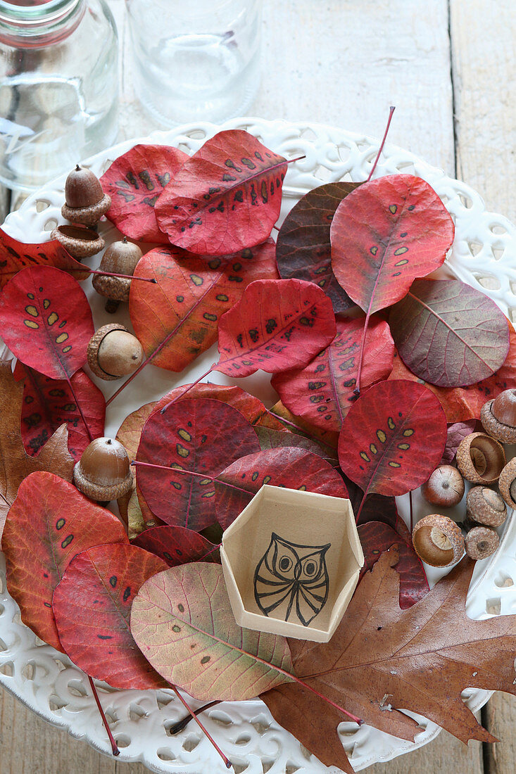 Herbstdeko mit Blättern, Eicheln und Schachtel mit handgezeichneter Eule