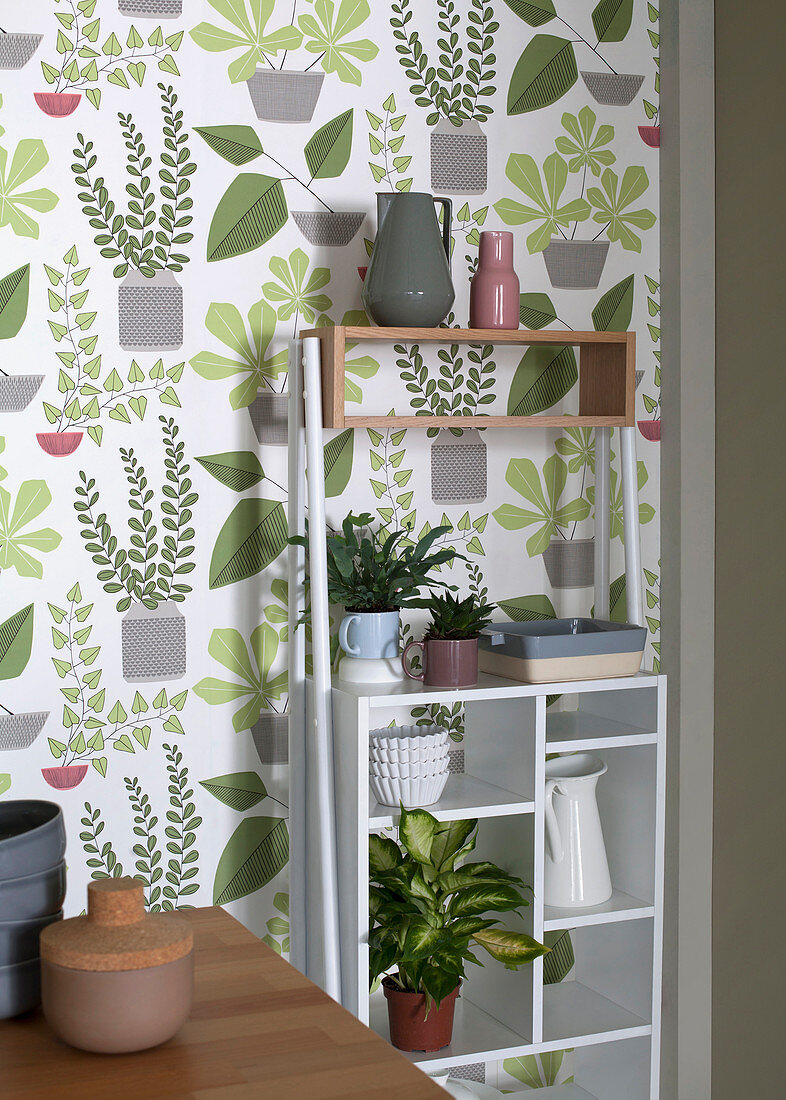 Kitchen utensils and plants on shelves against plant-patterned wallpaper