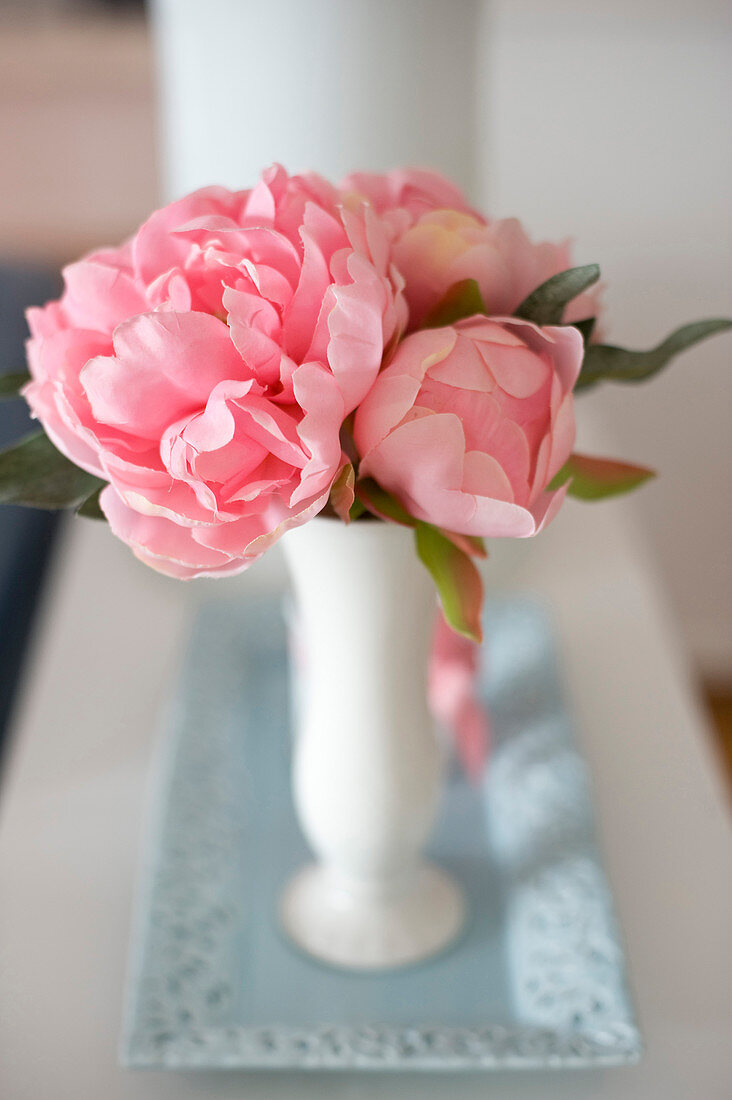 Rosafarbene Kamelienblüten in Vase