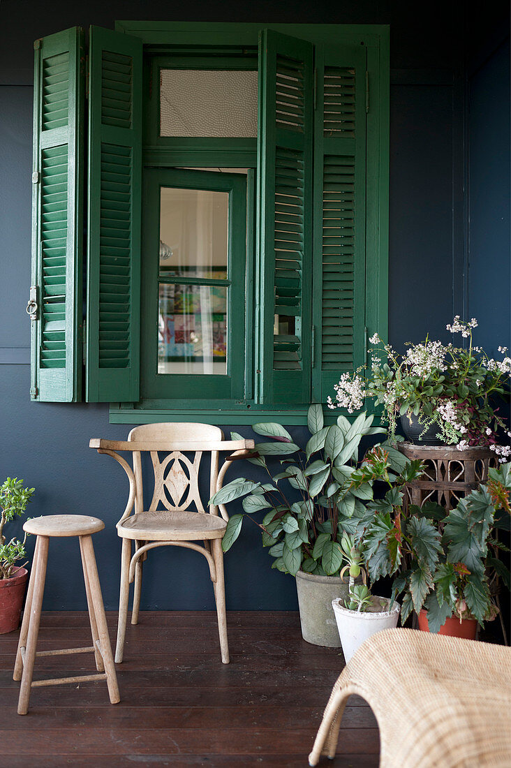 Grünpflanzen, Hocker und Holzstuhl unter grünen Fensterläden auf überdachter Veranda