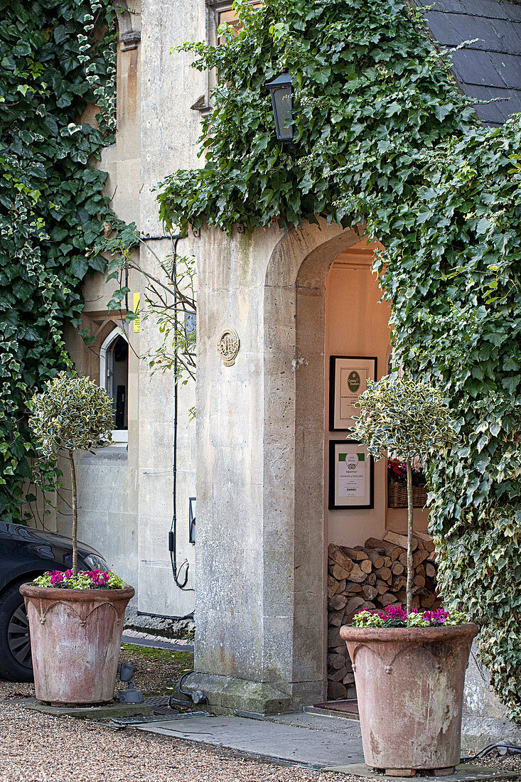 Arched porch doorway surrounded by ivy and flanked by potted plants with firewood stacked in porch