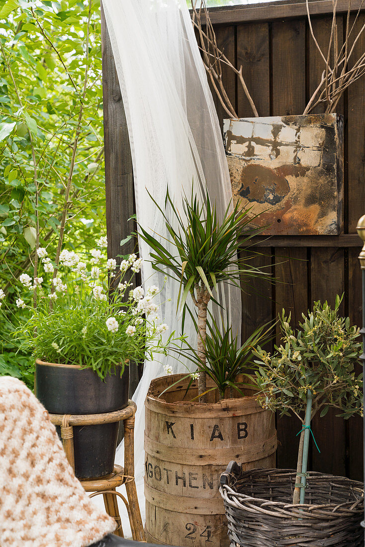 Plants in various containers and vintage-style accessories on terrace