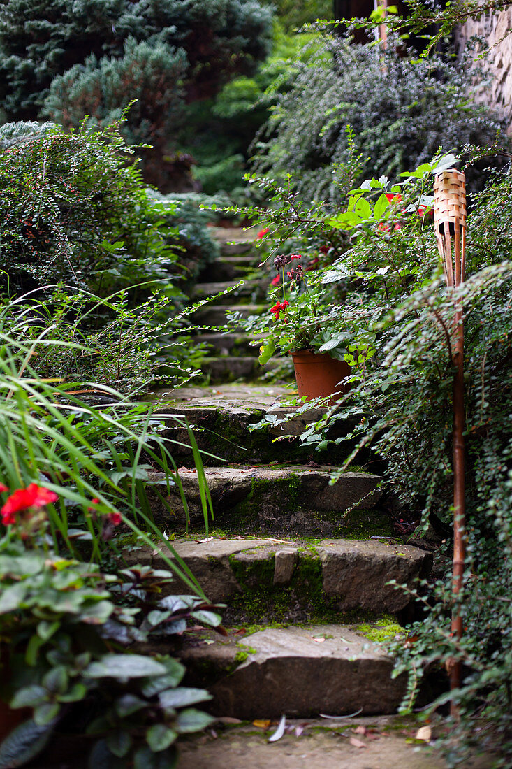 Natrusteintreppe in bewachsenem Garten