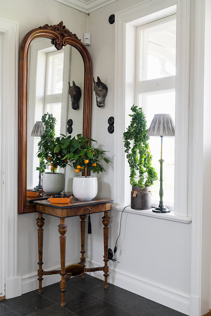 Spindly table, potted orange tree and antique wall mirror in corner of room