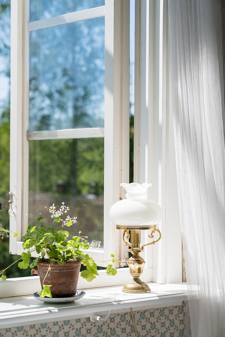 Topfpflanze und Tischlampe auf Fensterbank