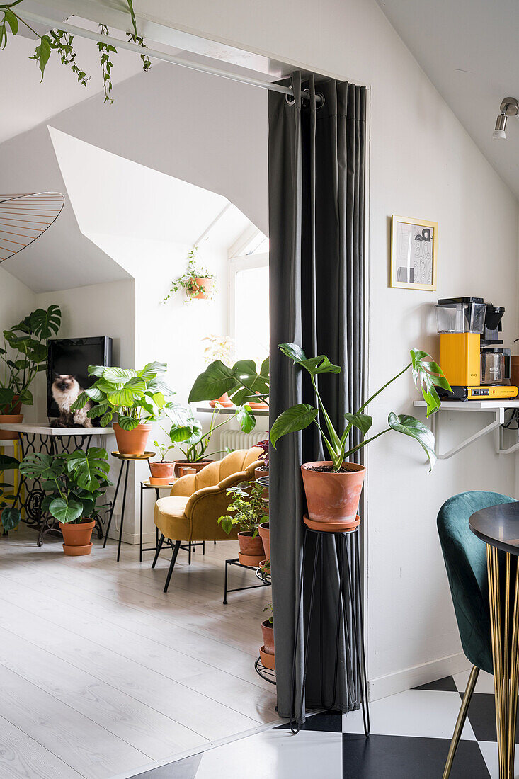 Blick aus der Küche ins Wohnzimmer mit vielen Grünpflanzen