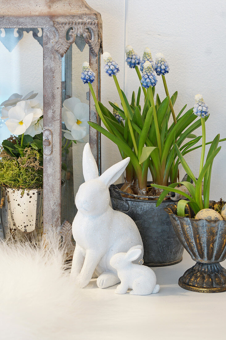 Grape hyacinths with Easter bunnies as Easter decoration