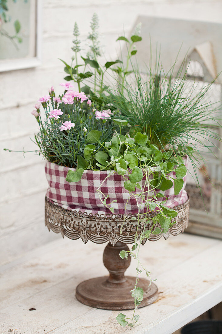 Pinks in planted arrangements wrapped in fabric