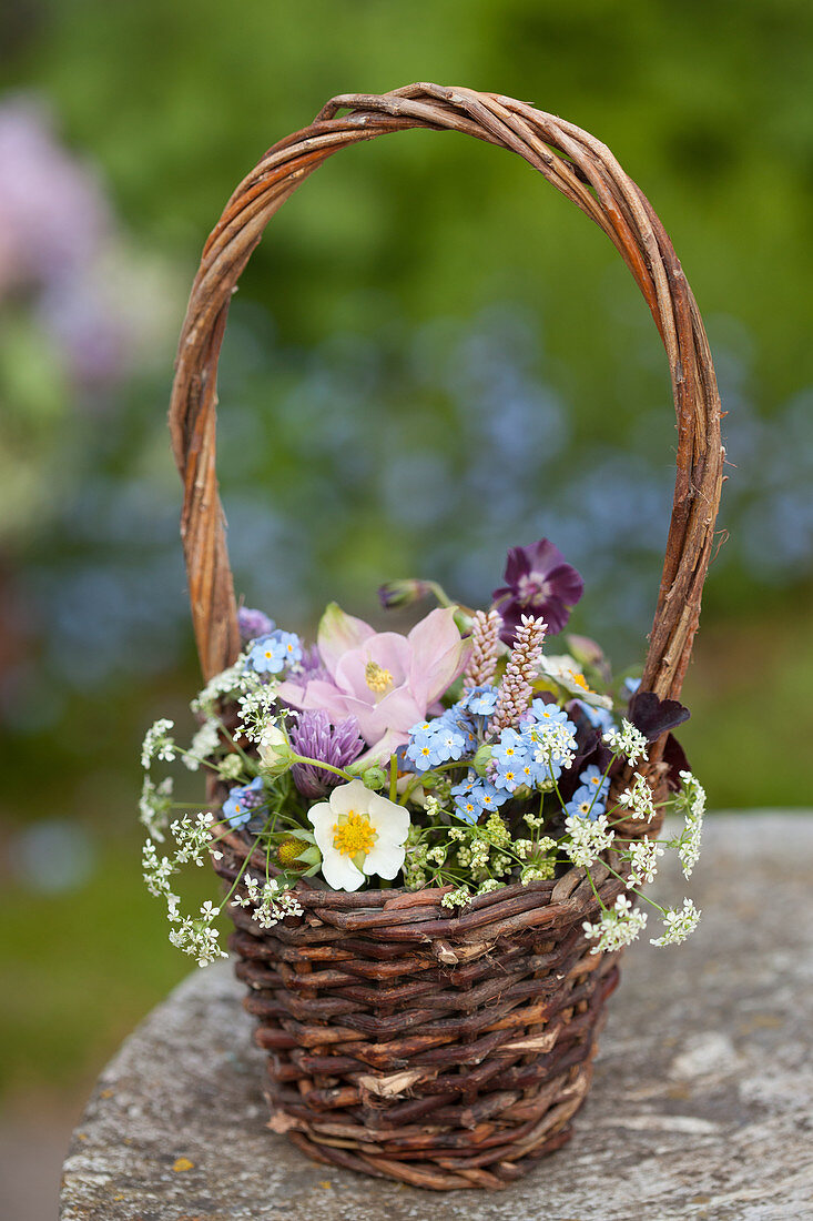 Spring bouquet of aquilegia, forget-me-nots, cow parsley, chive flowers, strawberry flowers and knotweed in basket