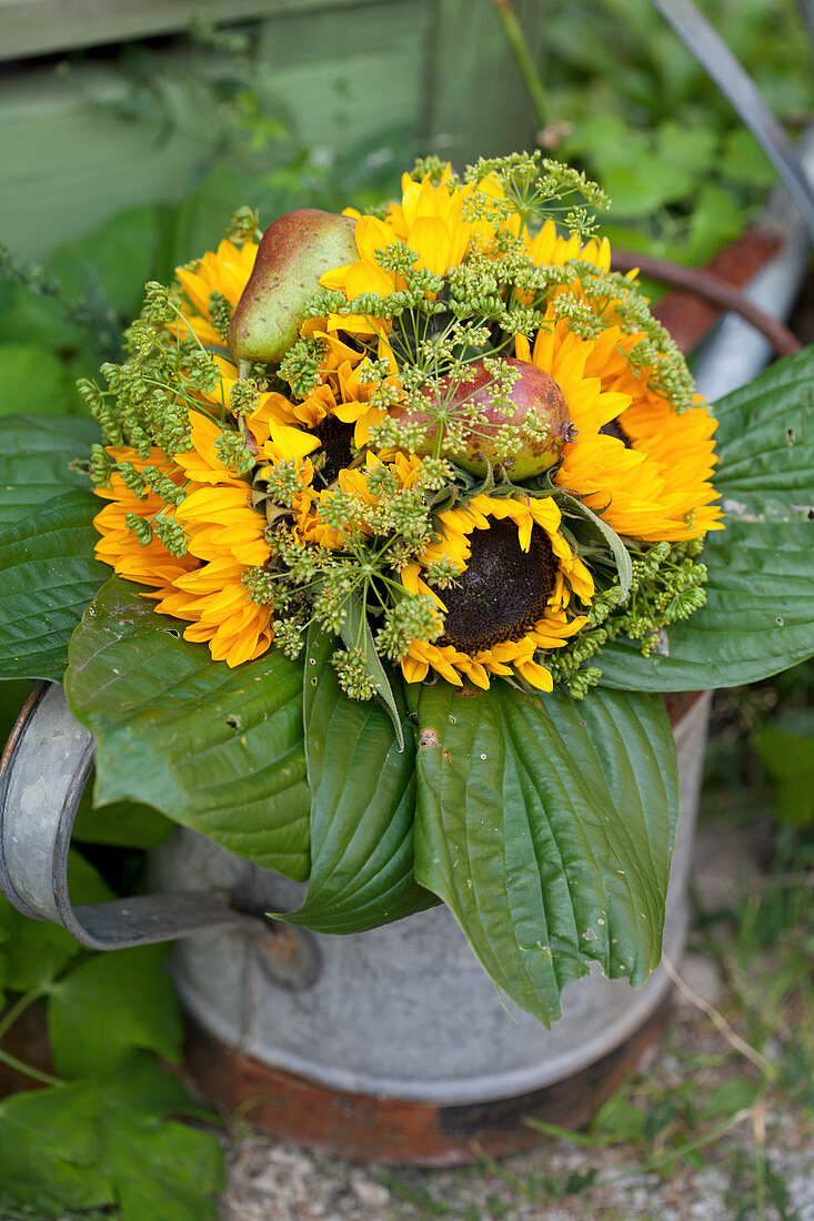 Autumn bouquet of sunflowers, fennel umbels, pears and hosta leaves in watering can