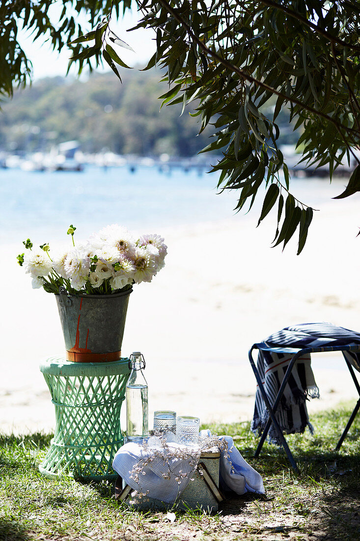 Sommerpicknick am See