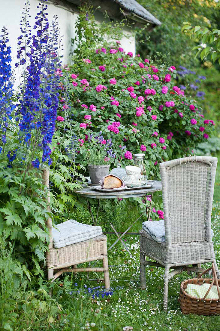 Romantischer Sitzplatz im Garten neben Rose und Rittersporn