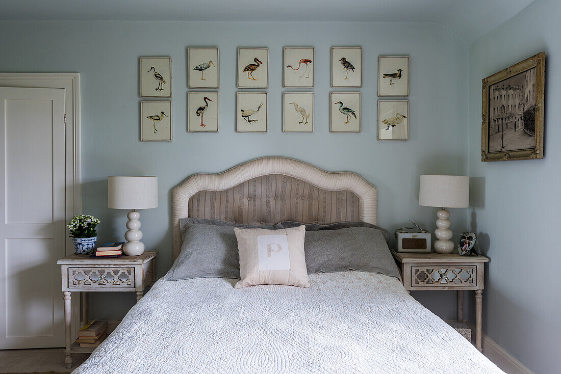 Gallery of bird pictures above bed in light blue bedroom