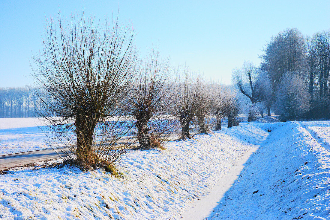 Schneebedeckte Landschaft