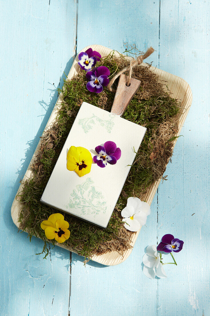 Wooden board on moss bed with pansies