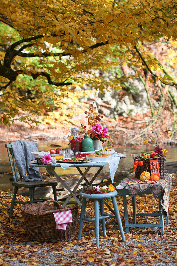 Gedeckter Tisch unterm Baum im Herbstgarten