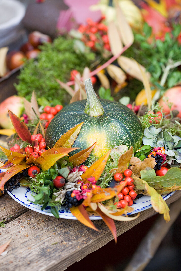 Round courgettes in a colorful autumn wreath of autumn leaves and berries