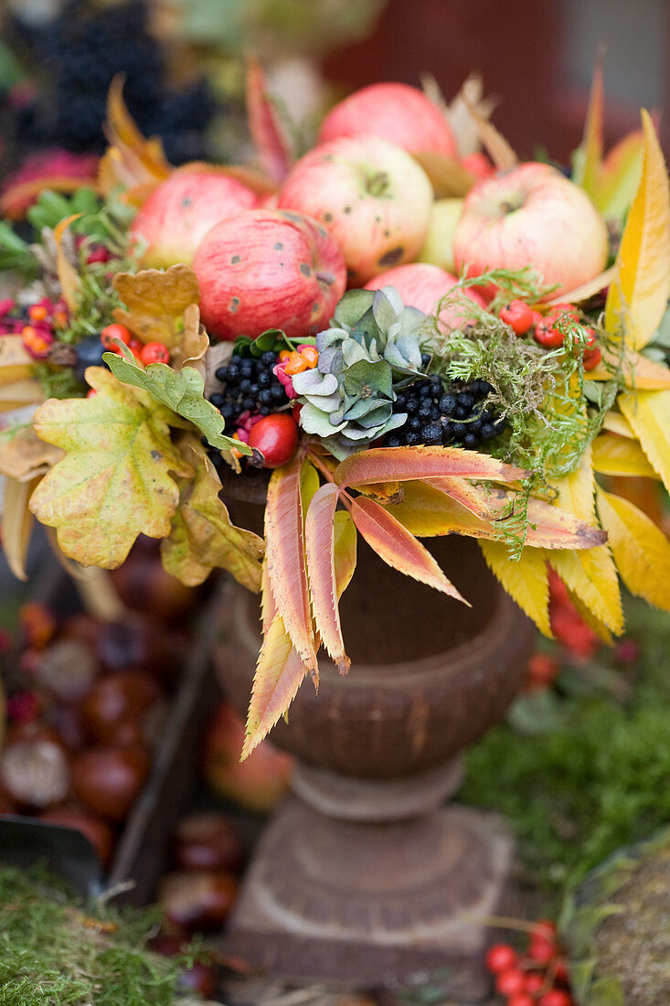 Äpfel im bunten Herbstkranz aus Herbstlaub und Beeren