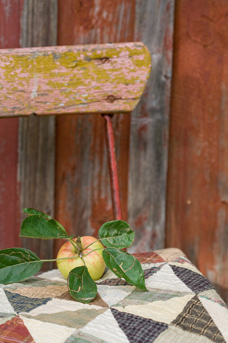 Apfel mit Blättern auf Stuhlkissen gelegt
