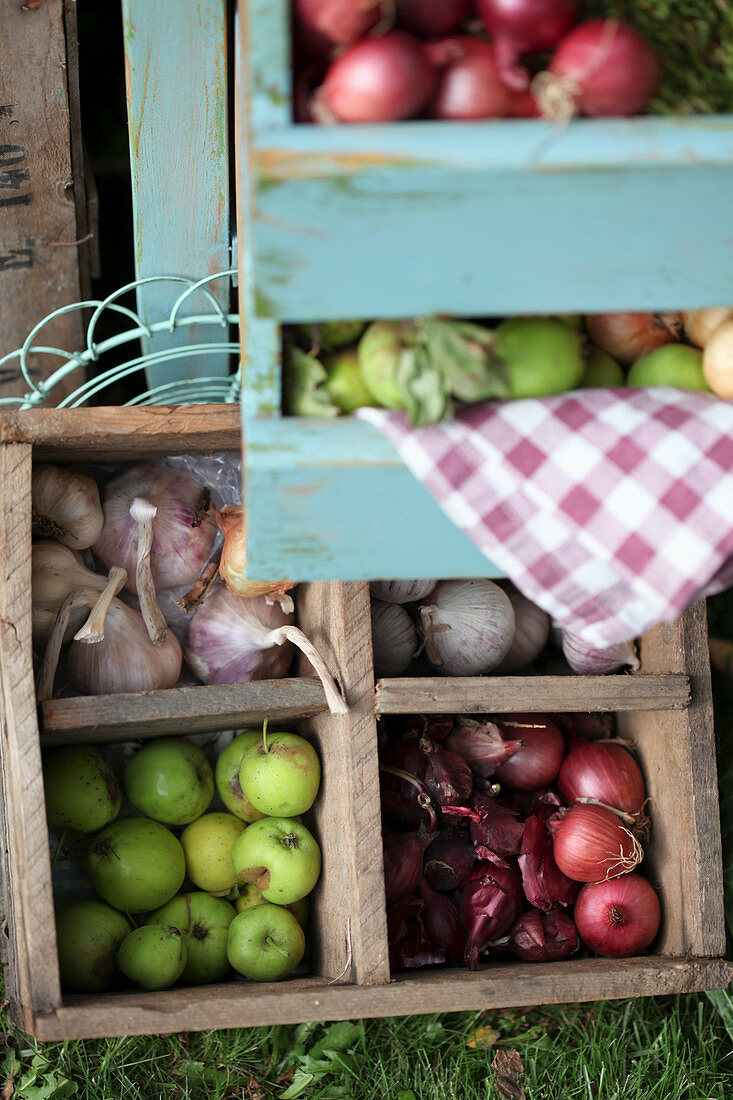 Holzkiste mit Zwiebeln, grünen Äpfelchen und Knoblauch