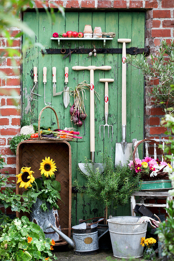 Gartengeräte, Gemüse, Sonnenblumen, Rosmarin-Stämmchen und Korb mit Blüten