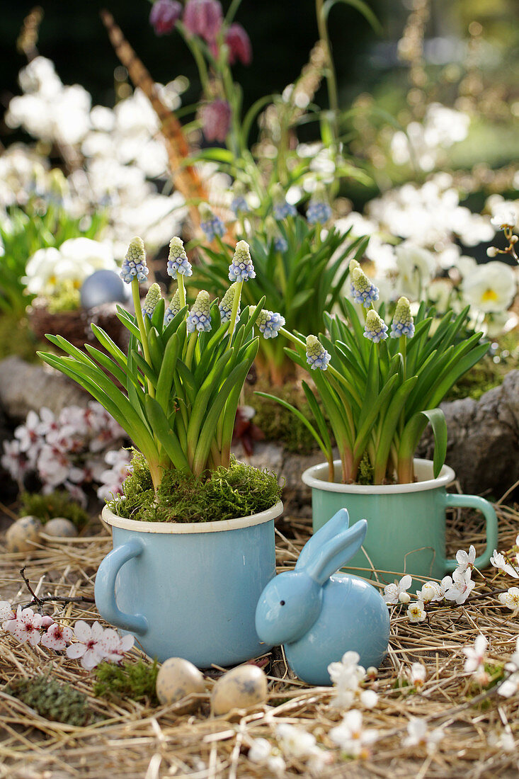 Grape hyacinths in enamelled cups, blue Easter bunny, Easter eggs and blossom branches