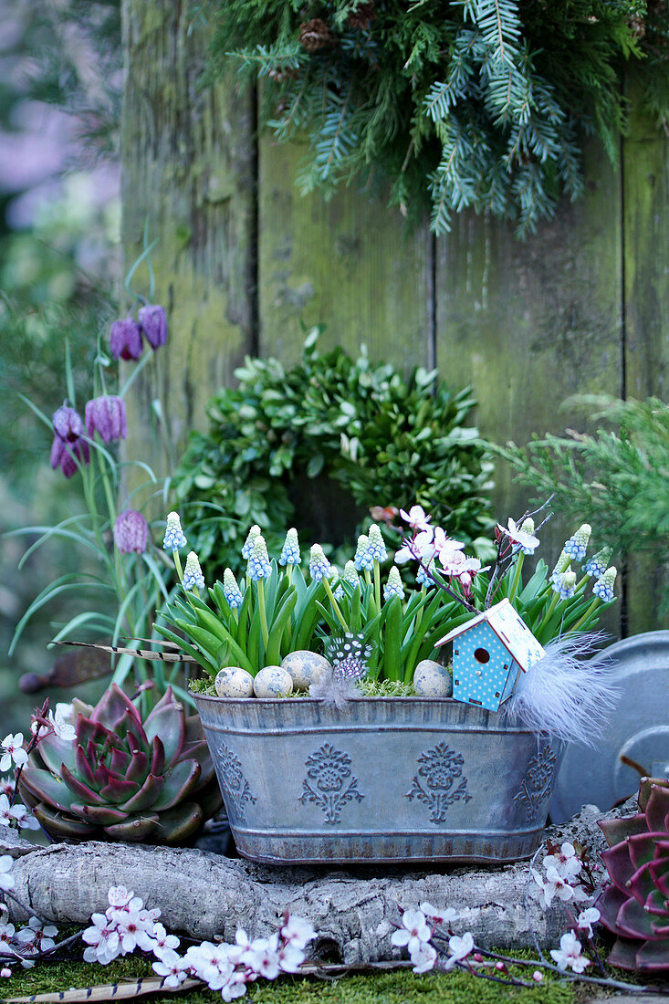 Planter filled with grape hyacinths, Easter eggs, feathers, and decorative birdhouses