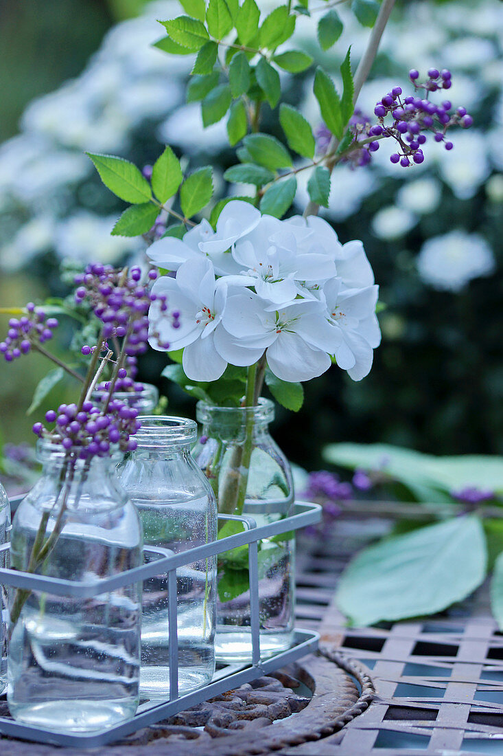 Geranium flower and branch of beautyberry in small bottles
